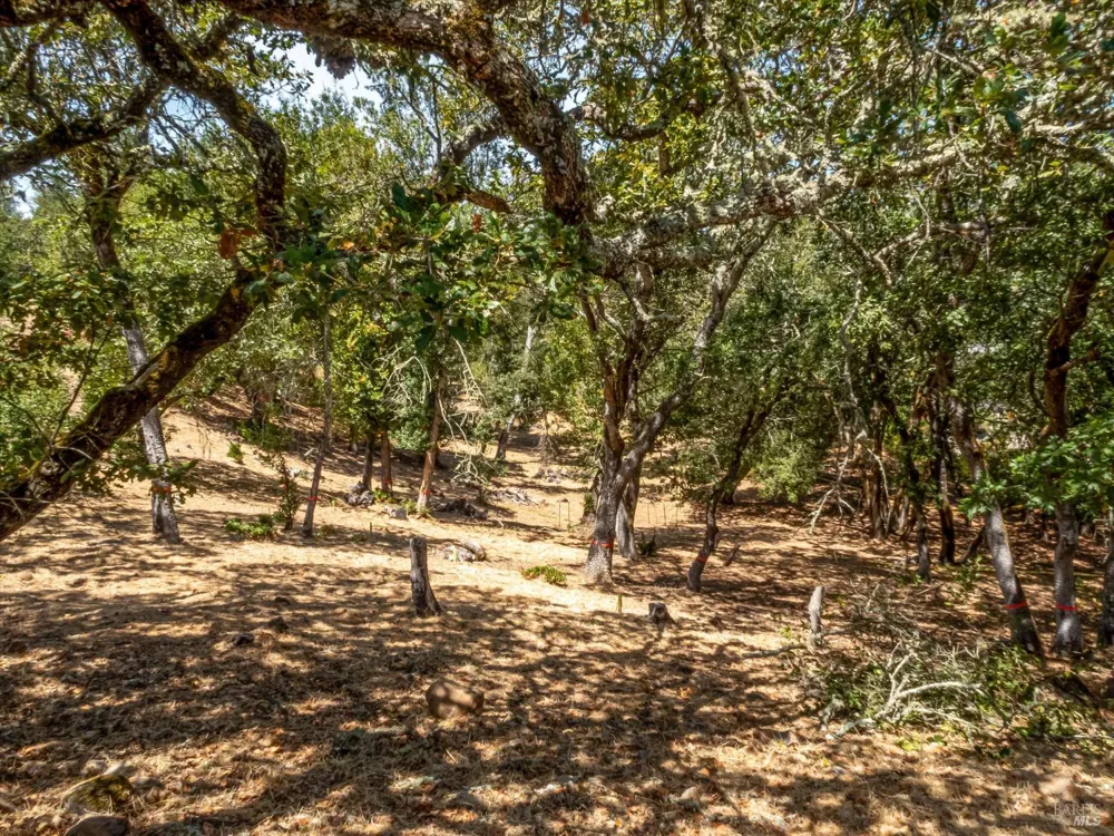 2869 Bristol Road Kenwood, CA 95452