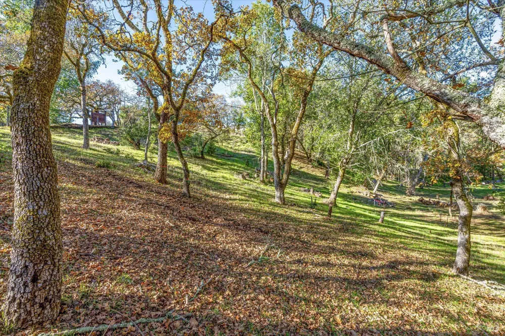2869 Bristol Road Kenwood, CA 95452