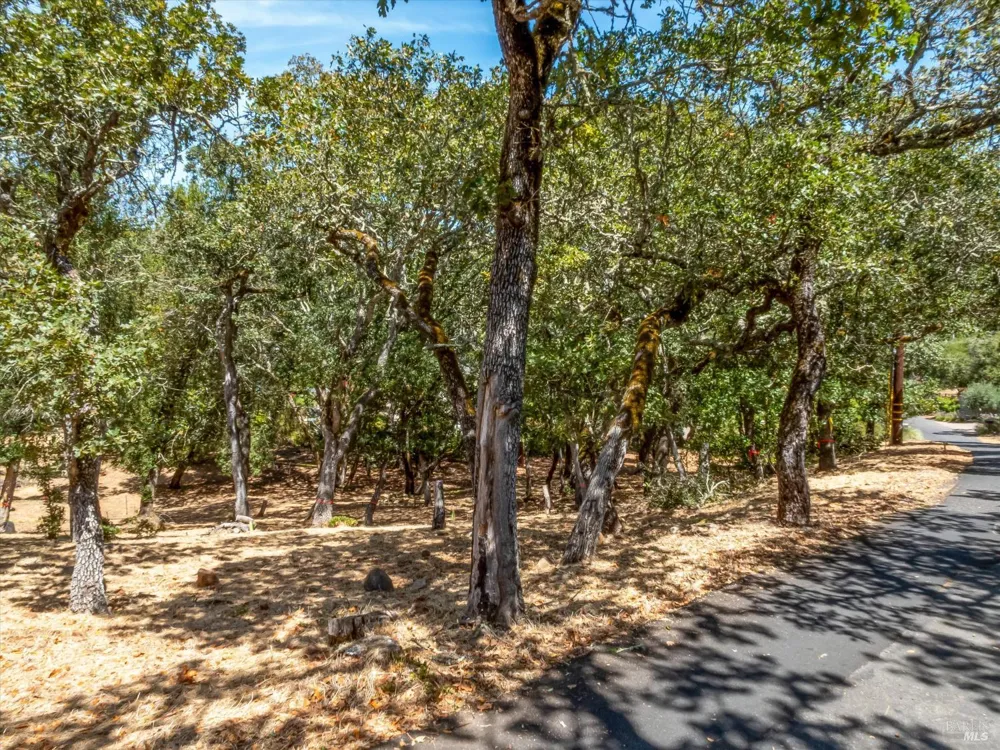 2869 Bristol Road Kenwood, CA 95452