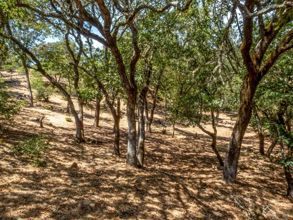 2869 Bristol Road Kenwood, CA 95452