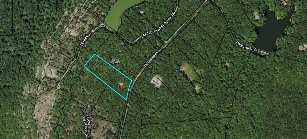600 Tatum Mining Road Cloudland, GA 30731