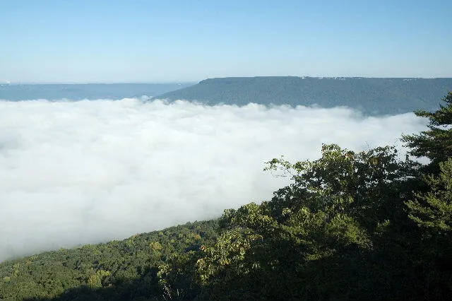 600 Tatum Mining Road Cloudland, GA 30731
