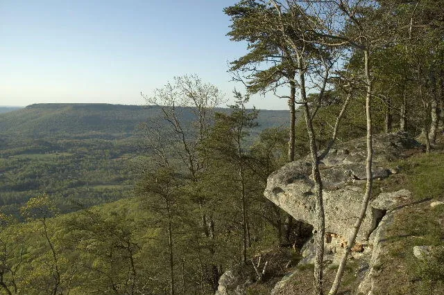 600 Tatum Mining Road Cloudland, GA 30731