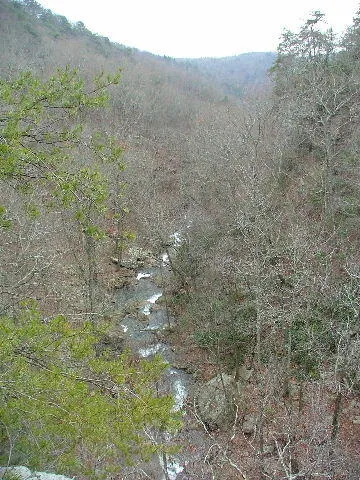 600 Tatum Mining Road Cloudland, GA 30731