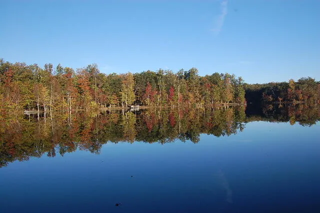 600 Tatum Mining Road Cloudland, GA 30731