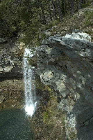 600 Tatum Mining Road Cloudland, GA 30731
