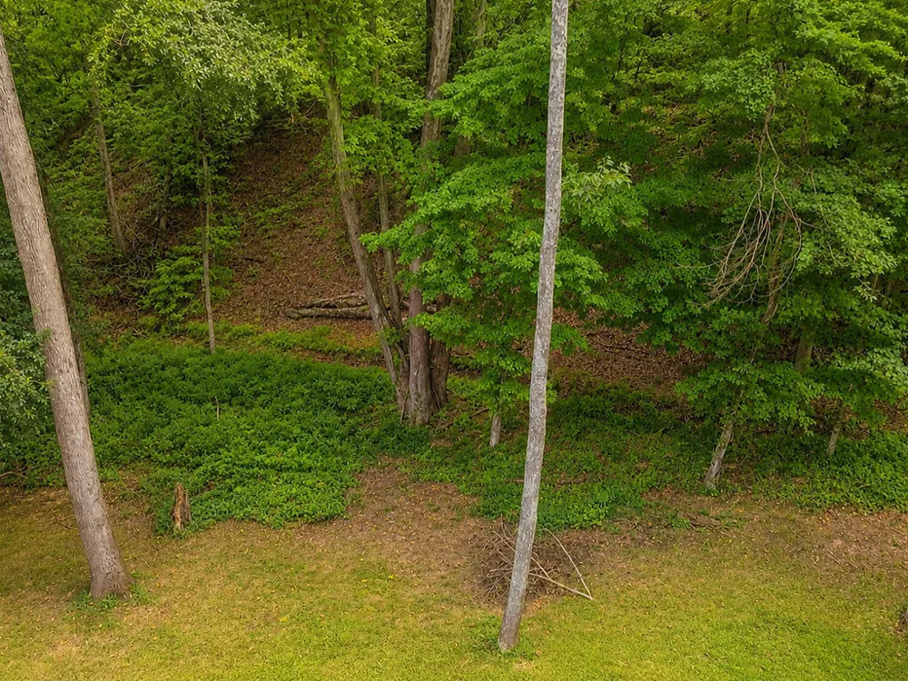 113 Birdie Court NW Cleveland, TN 37312