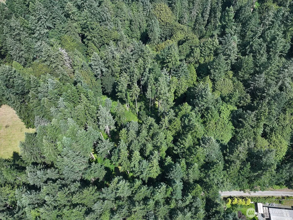 0 XXX Hellman Road Clinton, WA 98236