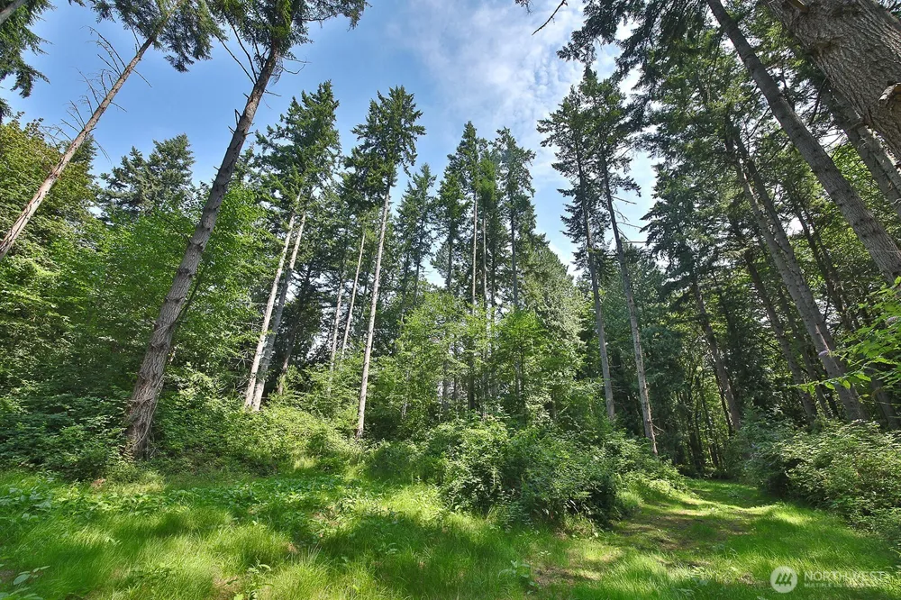 0 XXX Hellman Road Clinton, WA 98236