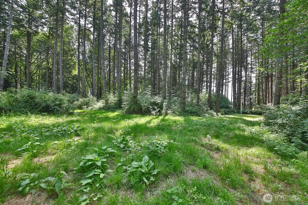 0 XXX Hellman Road Clinton, WA 98236