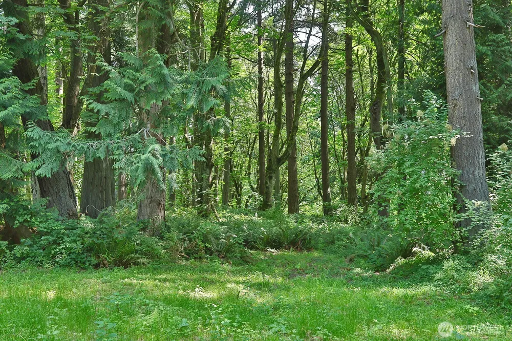0 XXX Hellman Road Clinton, WA 98236