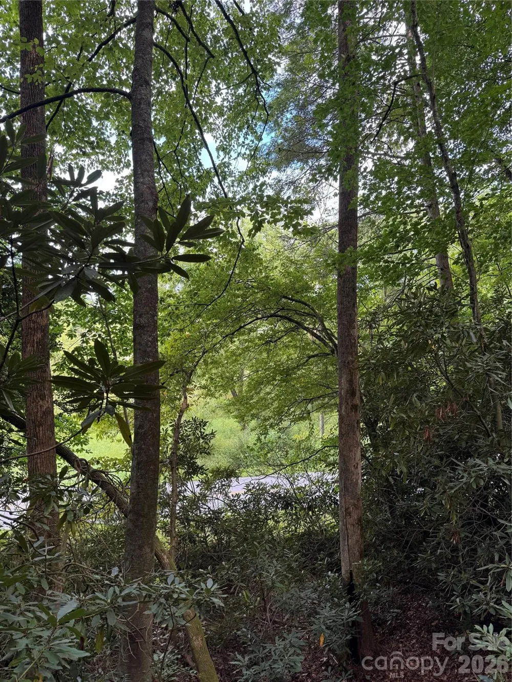 000 Wilson Road Pisgah Forest, NC 28768