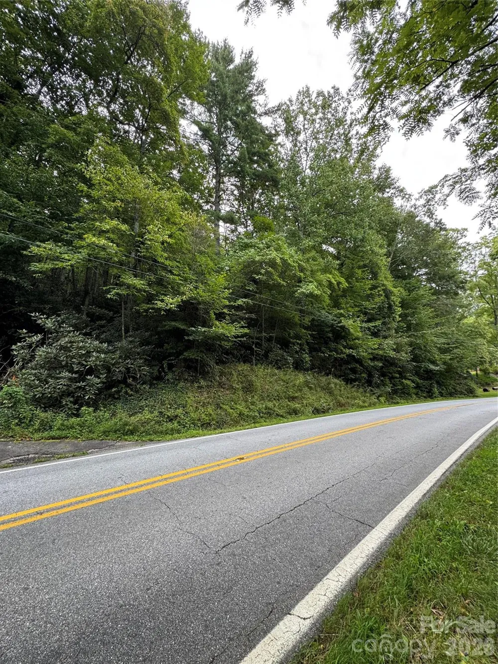 000 Wilson Road Pisgah Forest, NC 28768