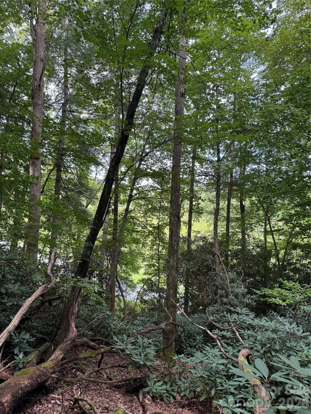 000 Wilson Road Pisgah Forest, NC 28768