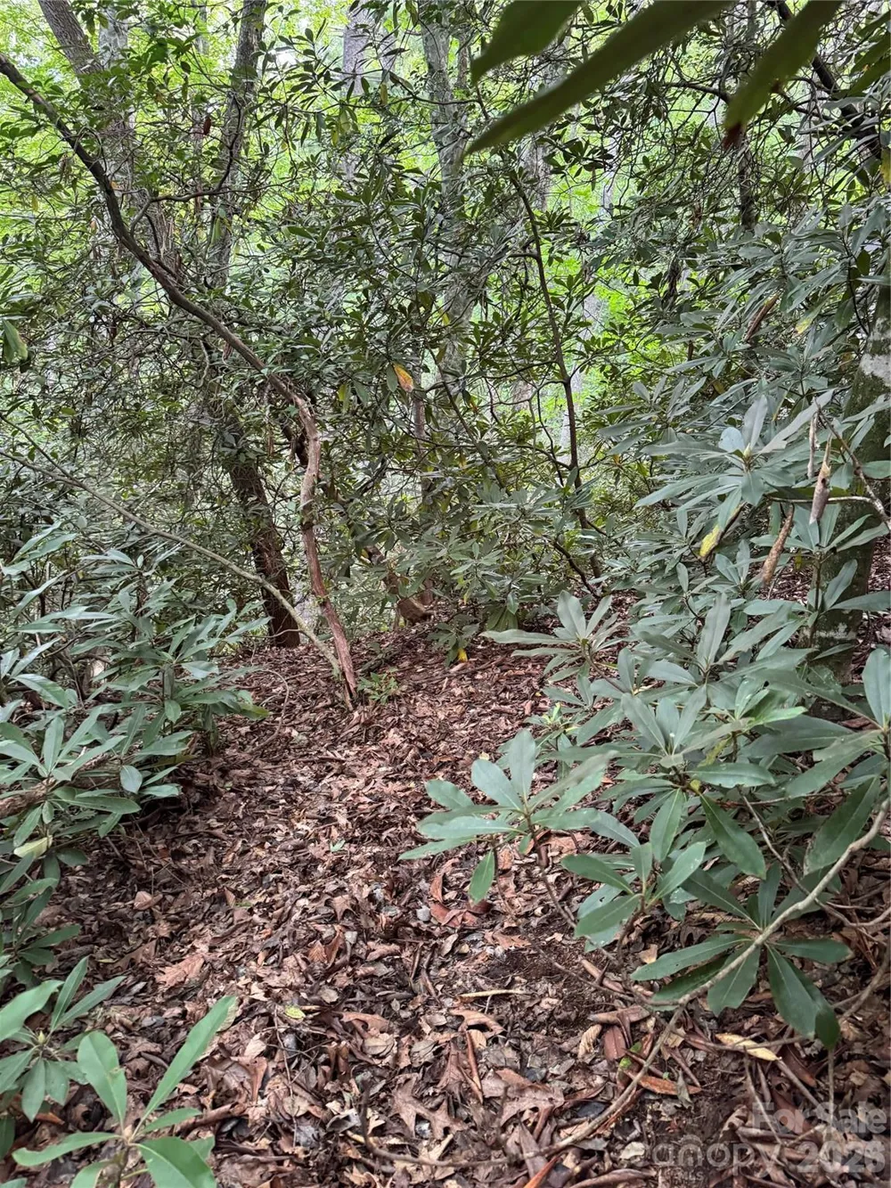 000 Wilson Road Pisgah Forest, NC 28768