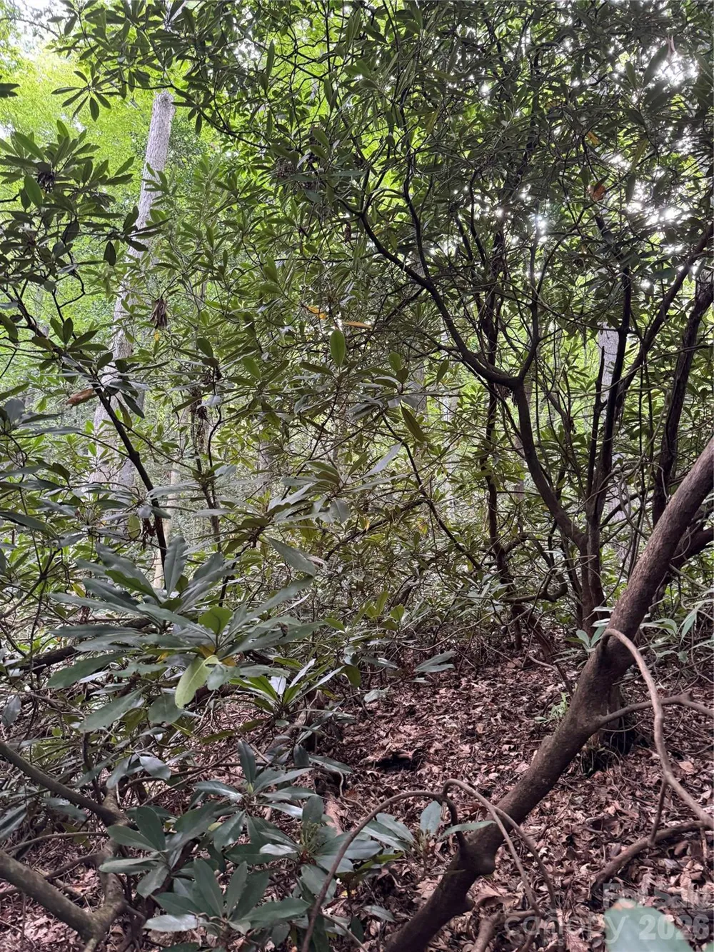 000 Wilson Road Pisgah Forest, NC 28768