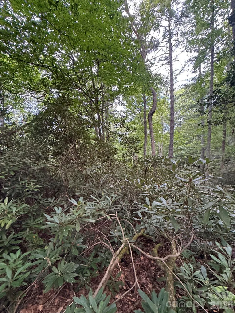 000 Wilson Road Pisgah Forest, NC 28768