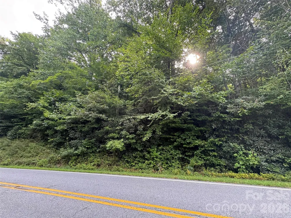 000 Wilson Road Pisgah Forest, NC 28768