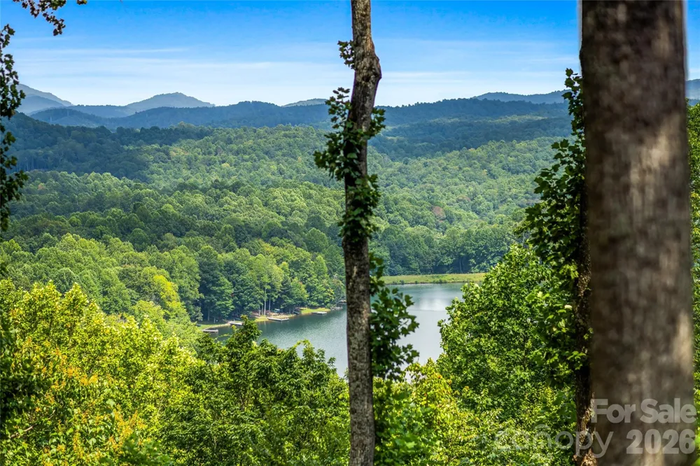600 Tanglewood Lane Saluda, NC 28773
