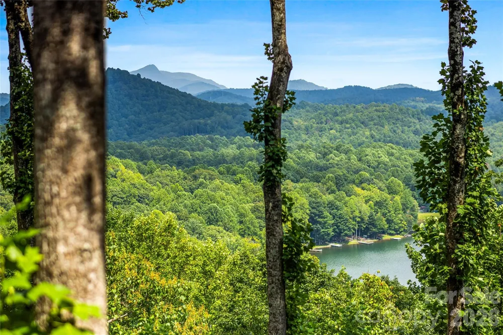 600 Tanglewood Lane Saluda, NC 28773