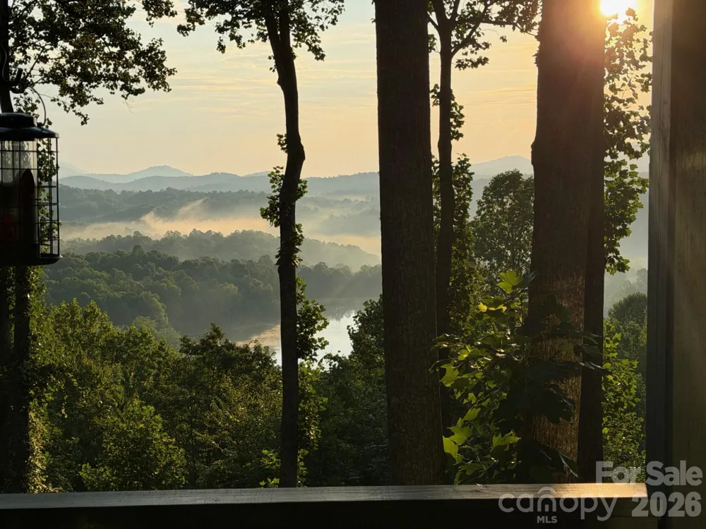 600 Tanglewood Lane Saluda, NC 28773