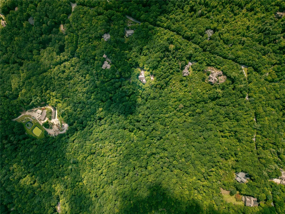 230 Toxaway Drive Lake Toxaway, NC 28747