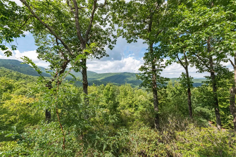 230 Toxaway Drive Lake Toxaway, NC 28747