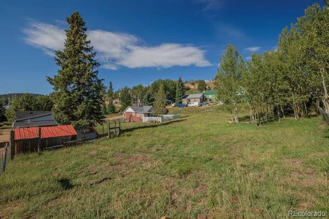 517 Portland Avenue Victor, CO 80860