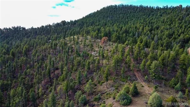 TBD Cathedral Trail Conifer, CO 80433