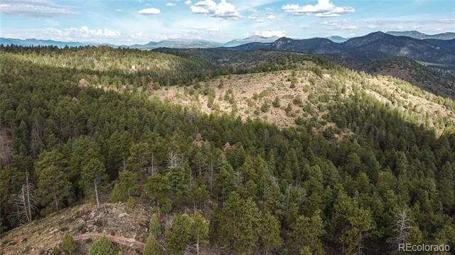 TBD Cathedral Trail Conifer, CO 80433