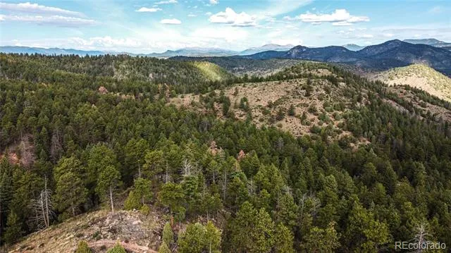 TBD Cathedral Trail Conifer, CO 80433