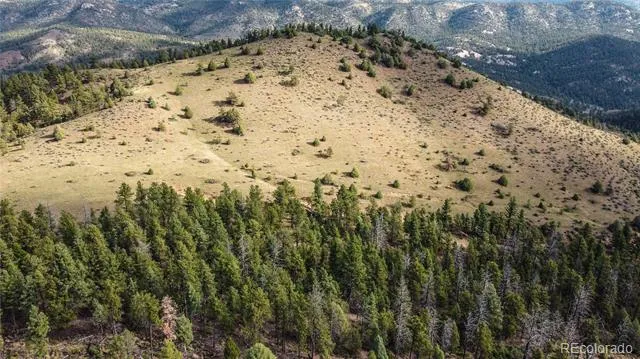 TBD Cathedral Trail Conifer, CO 80433
