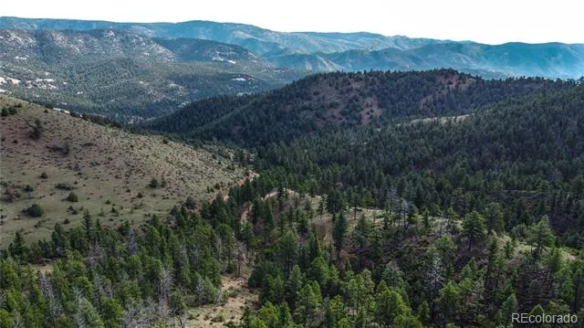 TBD Cathedral Trail Conifer, CO 80433