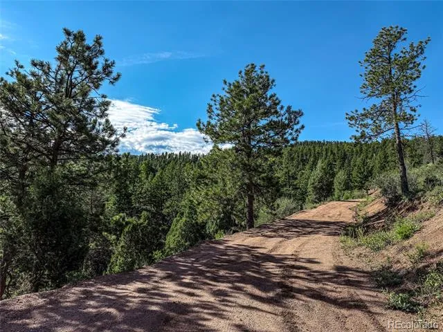TBD Cathedral Trail Conifer, CO 80433