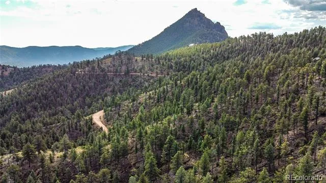 TBD Cathedral Trail Conifer, CO 80433