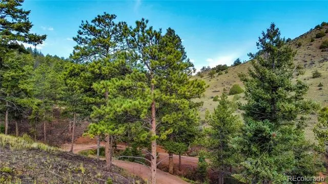 TBD Cathedral Trail Conifer, CO 80433