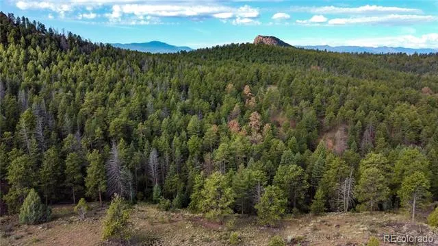 TBD Cathedral Trail Conifer, CO 80433