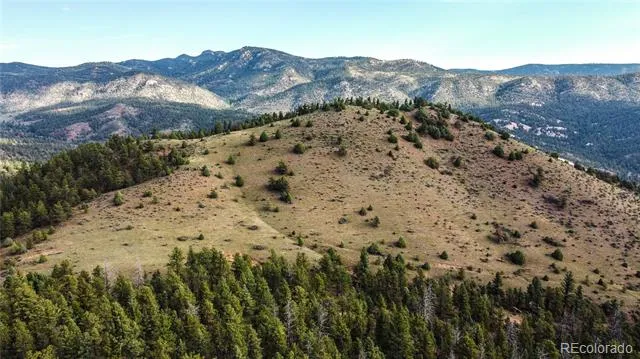 TBD Cathedral Trail Conifer, CO 80433