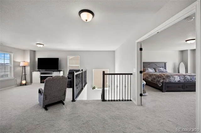 8412 Noreen Falls Drive Colorado Springs, CO 80924