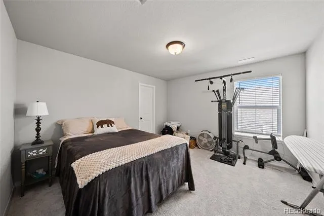 8412 Noreen Falls Drive Colorado Springs, CO 80924