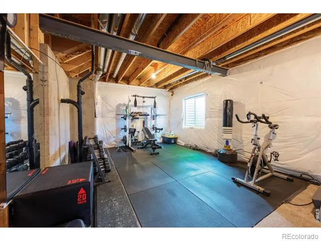 2172 Grain Bin Court Windsor, CO 80550