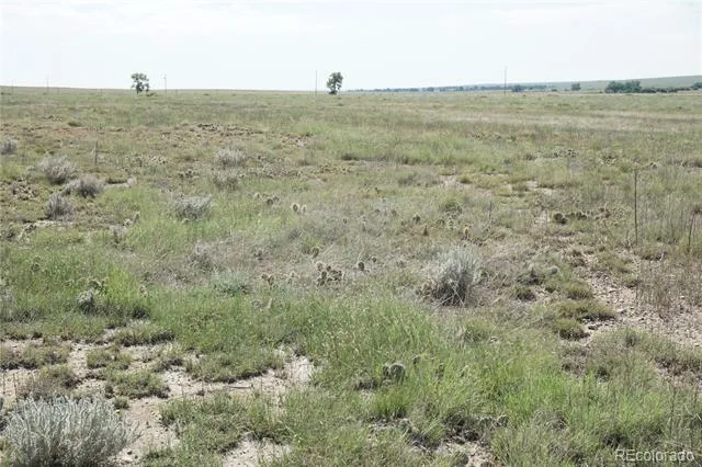 12580 County Road Z.5 Rush, CO 80833