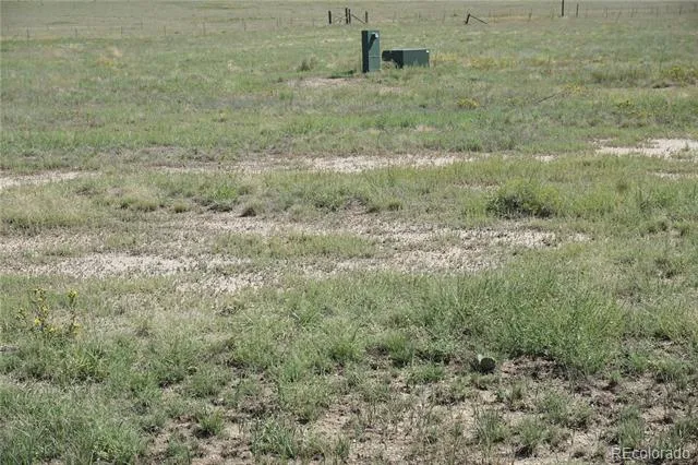 12580 County Road Z.5 Rush, CO 80833