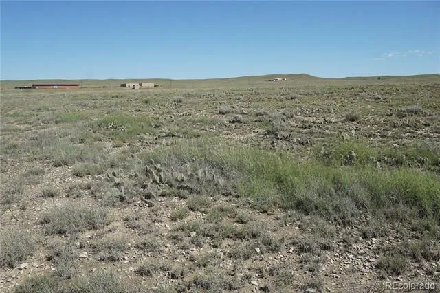 12580 County Road Z.5 Rush, CO 80833