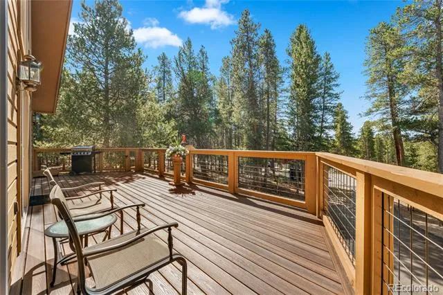 59 Tabor Drive Leadville, CO 80461