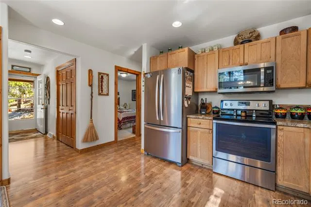 59 Tabor Drive Leadville, CO 80461
