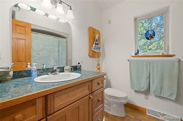 59 Tabor Drive Leadville, CO 80461