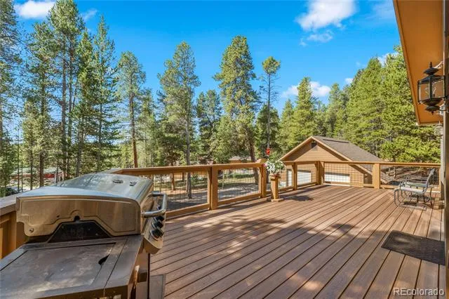 59 Tabor Drive Leadville, CO 80461