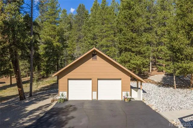 59 Tabor Drive Leadville, CO 80461