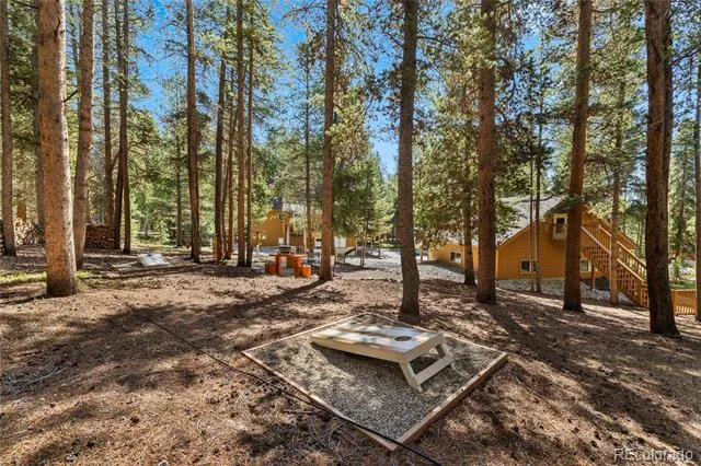 59 Tabor Drive Leadville, CO 80461